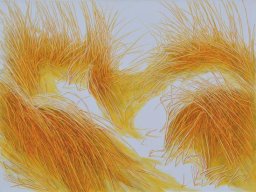 Sunny Gardens X 90x120 cm